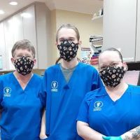 Tarpon Animal Hospital ico