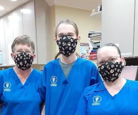 Tarpon Animal Hospital