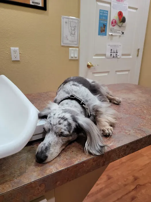 Tarpon Animal Hospital Picture 7