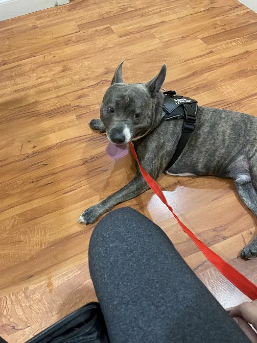 Tarpon Animal Hospital Picture 9