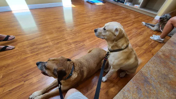 Tarpon Animal Hospital Picture 10