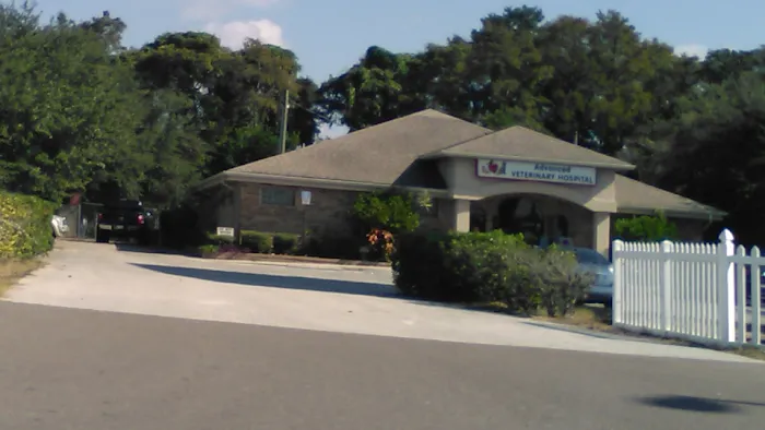 Advanced Veterinary Hospital Picture 4