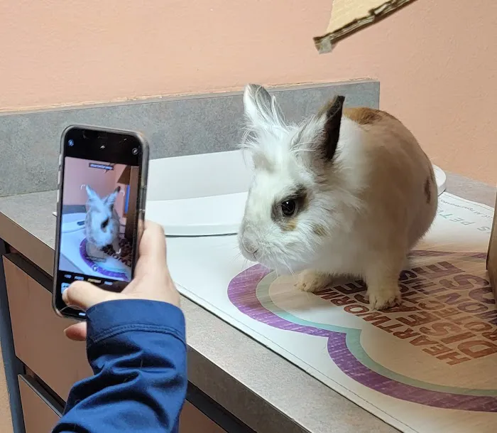 All Pets Hospital Picture 8