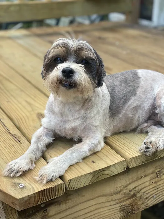 Animal's Best Choice Picture 1