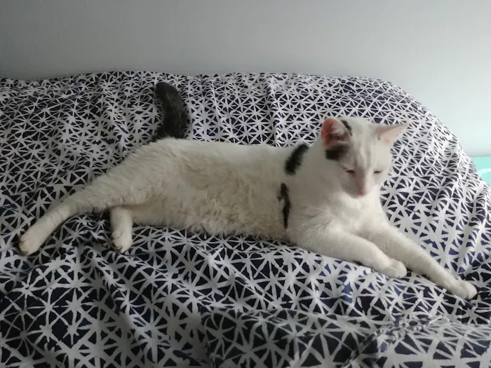 Animal's Best Choice Picture 4