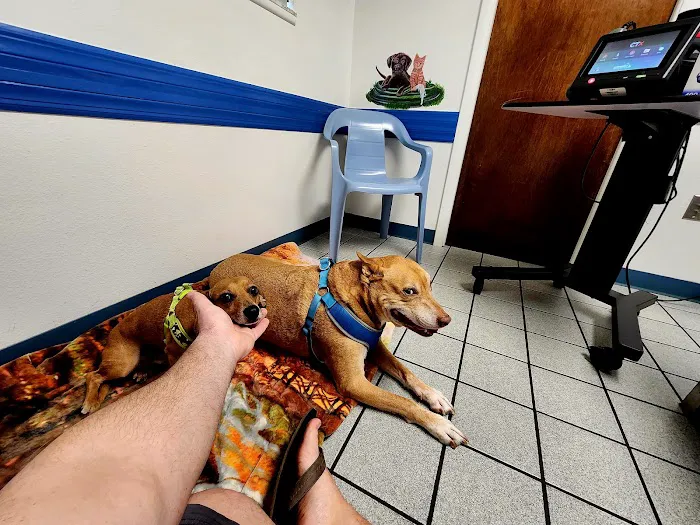 Animal's Best Choice Picture 7