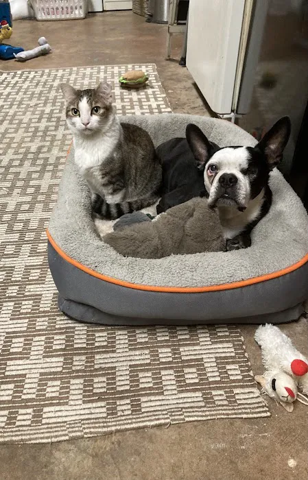 Animal's Best Choice Picture 9