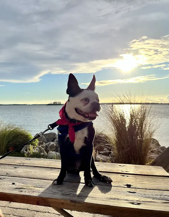 Animal's Best Choice Picture 2