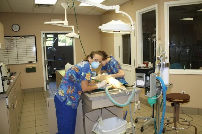 Best Care Animal Hospital Picture 2