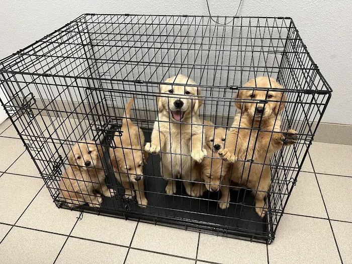 Best Care Animal Hospital Picture 8