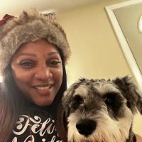 Animal Hospital of New Port Richey ico