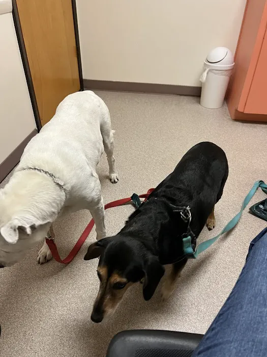 Animal Hospital of Regency Park Picture 8