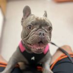Elligott Colleen DVM