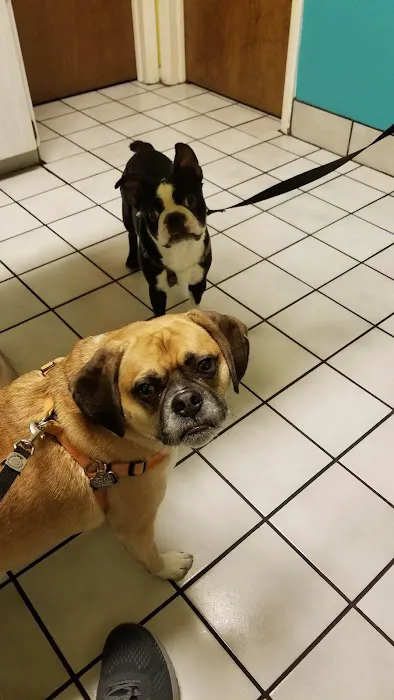 Caladesi Animal Hospital Picture 6