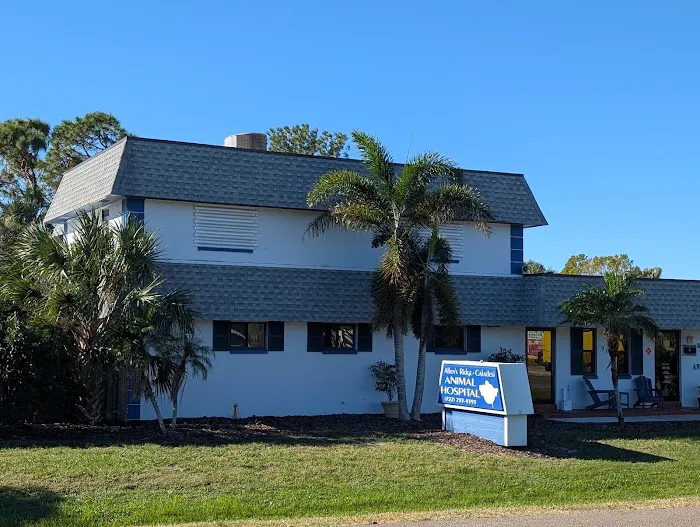 Caladesi Animal Hospital Picture 1