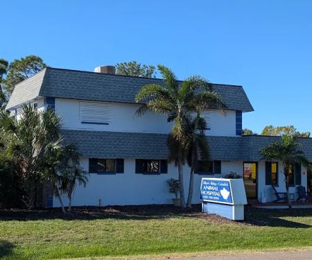 Caladesi Animal Hospital
