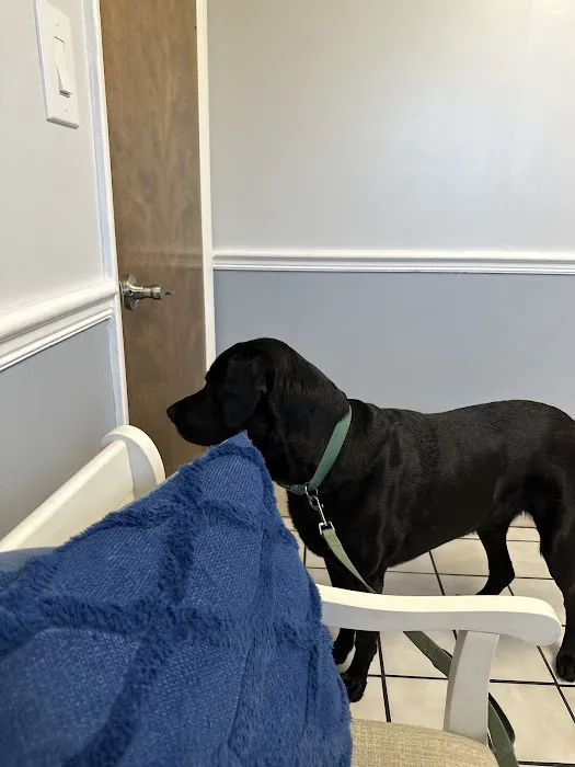 Caladesi Animal Hospital Picture 7