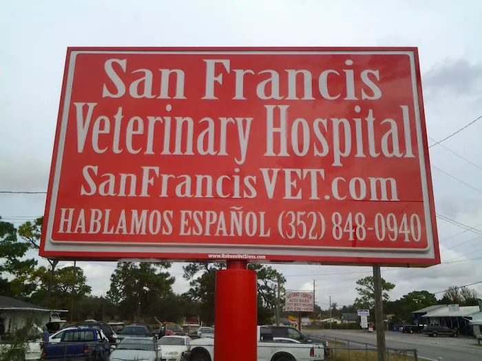 VCA San Francis Animal Hospital Picture 1