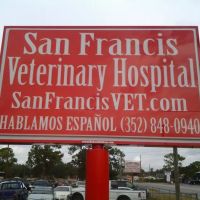 VCA San Francis Animal Hospital ico