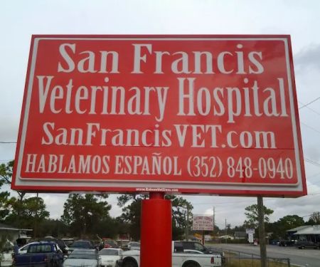 VCA San Francis Animal Hospital