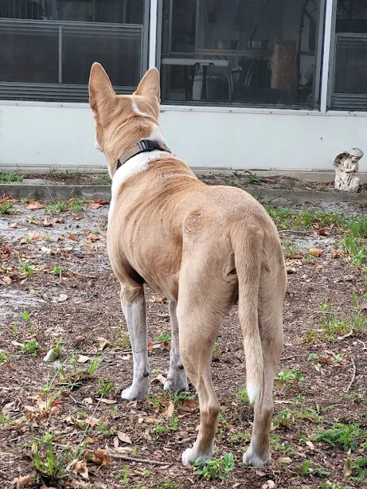 VCA San Francis Animal Hospital Picture 9