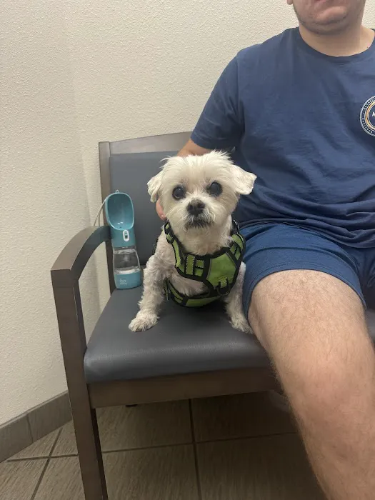 VCA San Francis Animal Hospital Picture 4