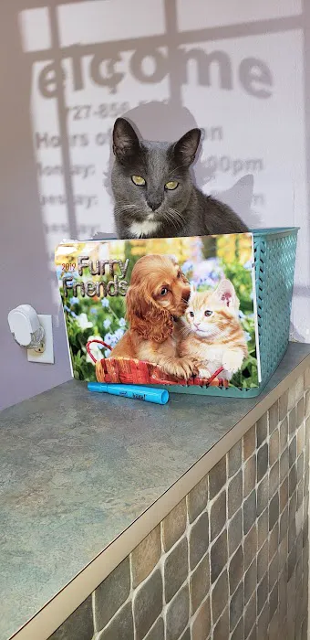 Companion Animal Hospital Picture 5