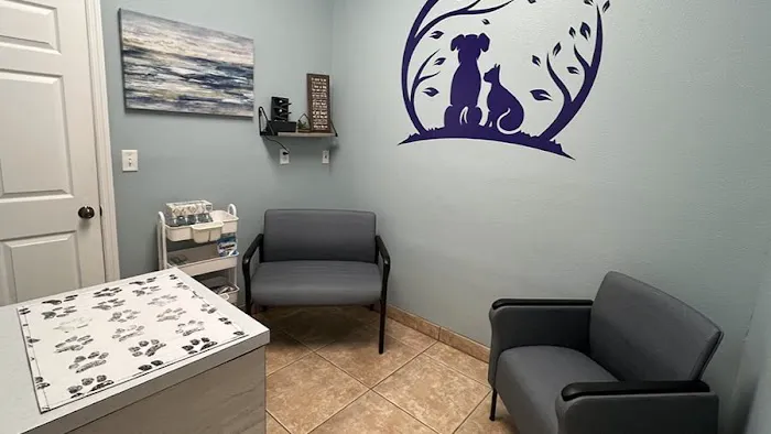 VCA Little Animal Hospital Picture 1