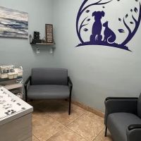 VCA Little Animal Hospital ico