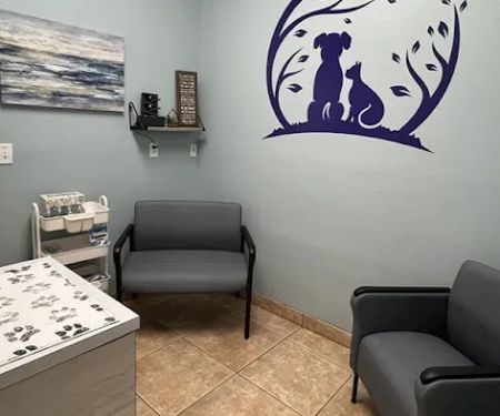 VCA Little Animal Hospital