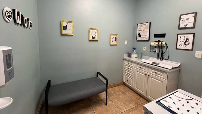 VCA Little Animal Hospital Picture 4