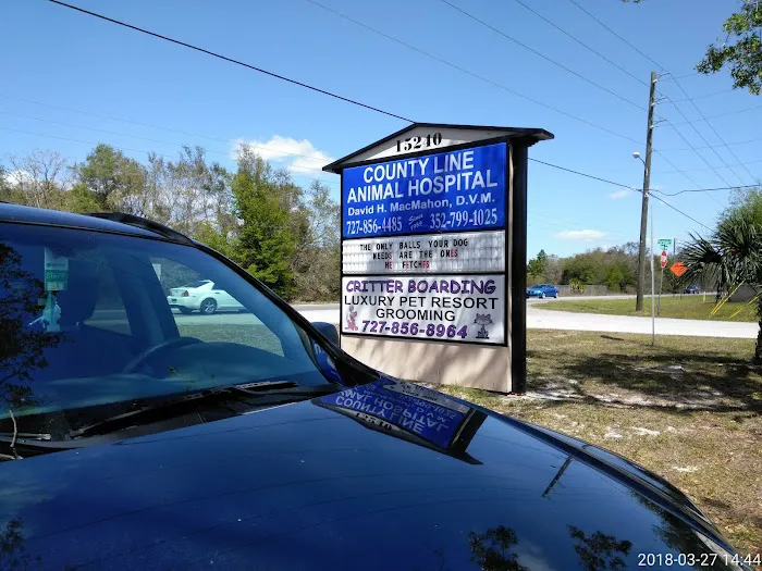 County Line Animal Hospital Picture 10