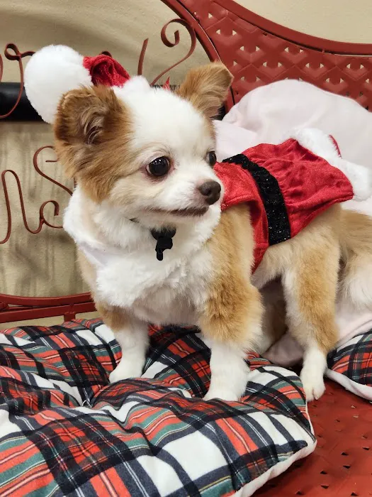 County Line Animal Hospital Picture 5