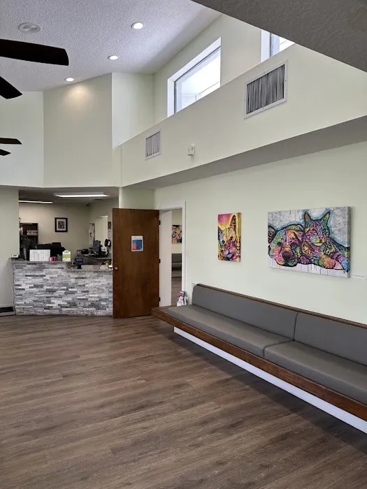 VCA Bayonet Point Animal Hospital Picture 6