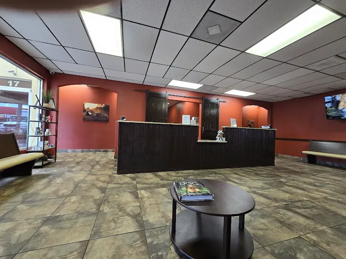 Paws Vet Care Center Picture 5