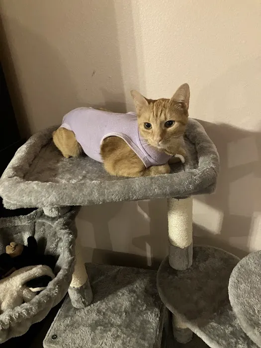 Paws Vet Care Center Picture 1
