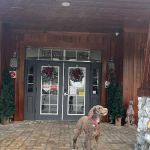 Chester W. Taylor, III, DVM