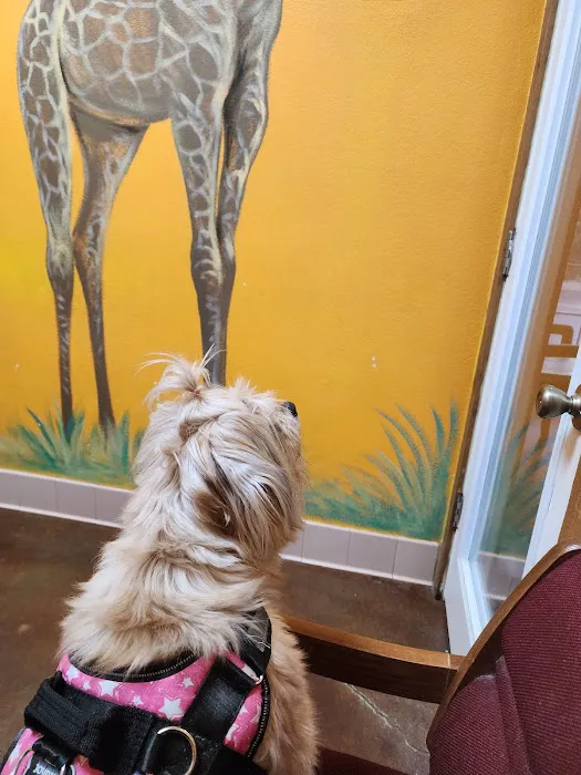 Dade City Animal Clinic Picture 8