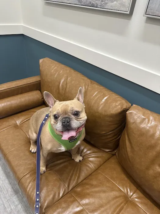 Beacon Emergency Veterinary Hospital Picture 1