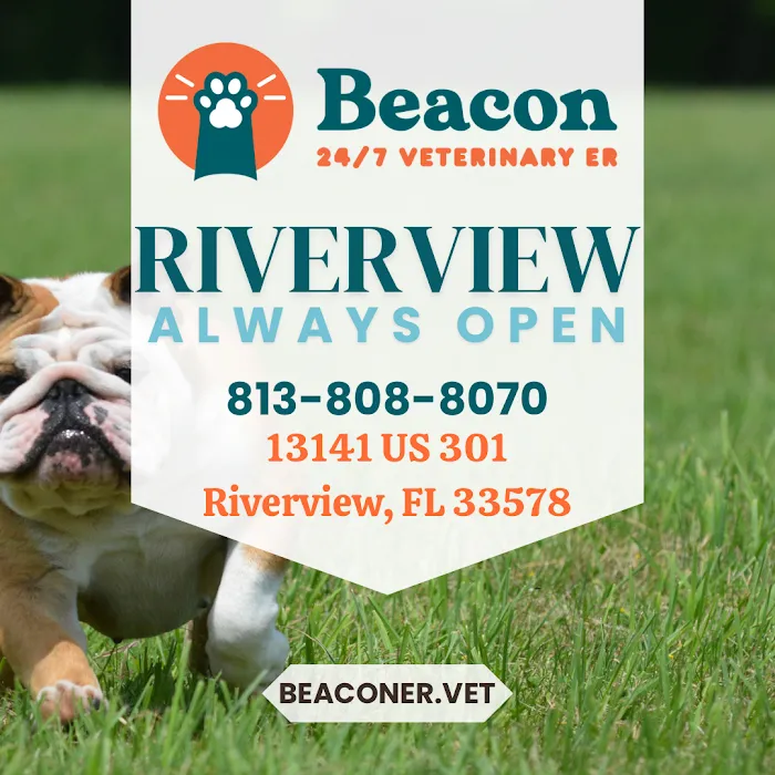 Beacon Emergency Veterinary Hospital Picture 10