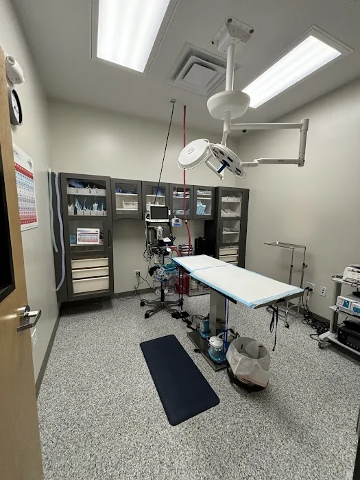 Beacon Emergency Veterinary Hospital Picture 7