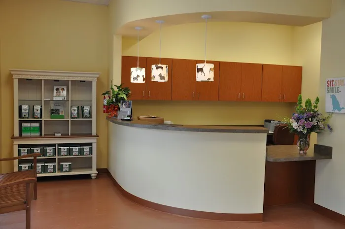 Southbay Animal Hospital Picture 9