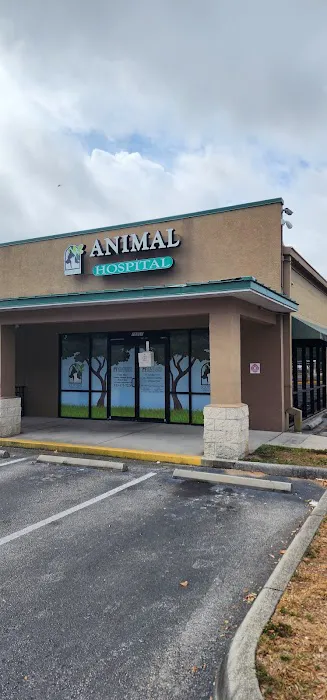 Southbay Animal Hospital Picture 1