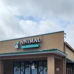 Southbay Animal Hospital