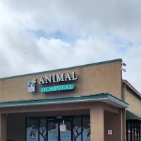 Southbay Animal Hospital ico