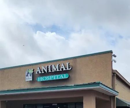 Southbay Animal Hospital