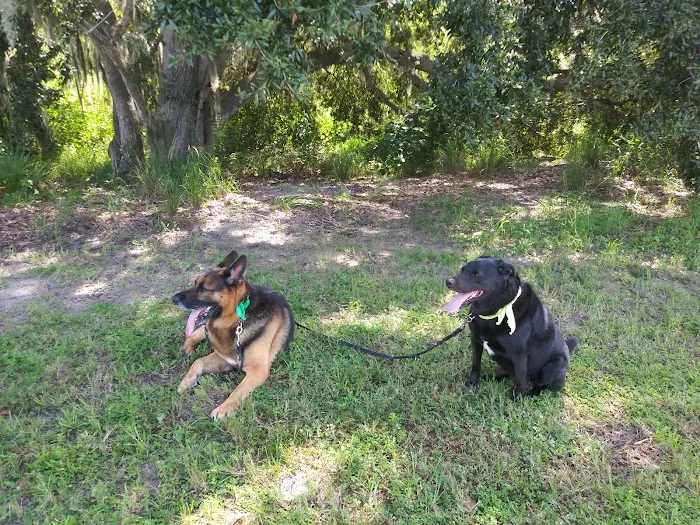 Big Bend Animal Hospital Inc Picture 7