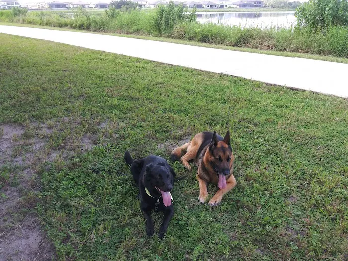 Big Bend Animal Hospital Inc Picture 6