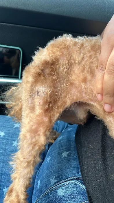 Big Bend Animal Hospital Inc Picture 9