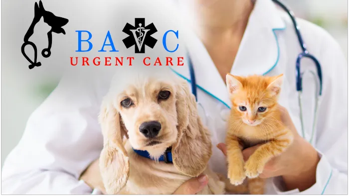 Bay Area Veterinary Care Picture 1